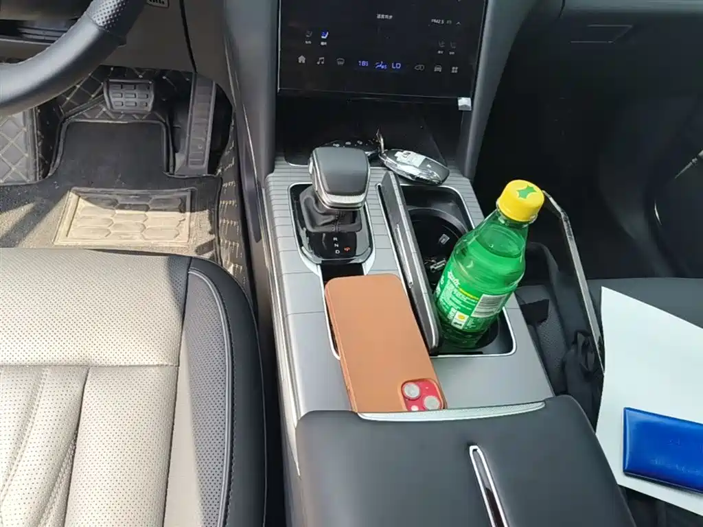 Hongqi HS7 PHEV 2024 2.0T PHEV 4WD Flagship Edition 6-seater фото 14