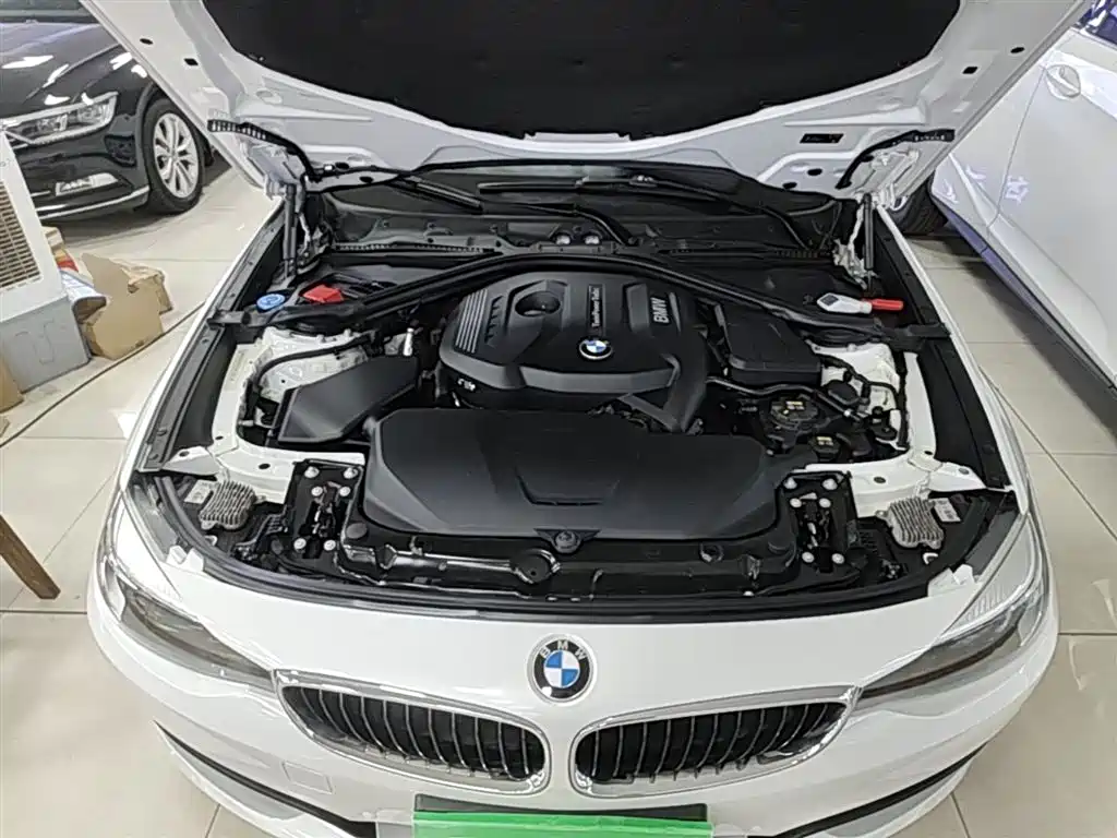 BMW 3 Series GT 2019 320i Fashion Model фото 20