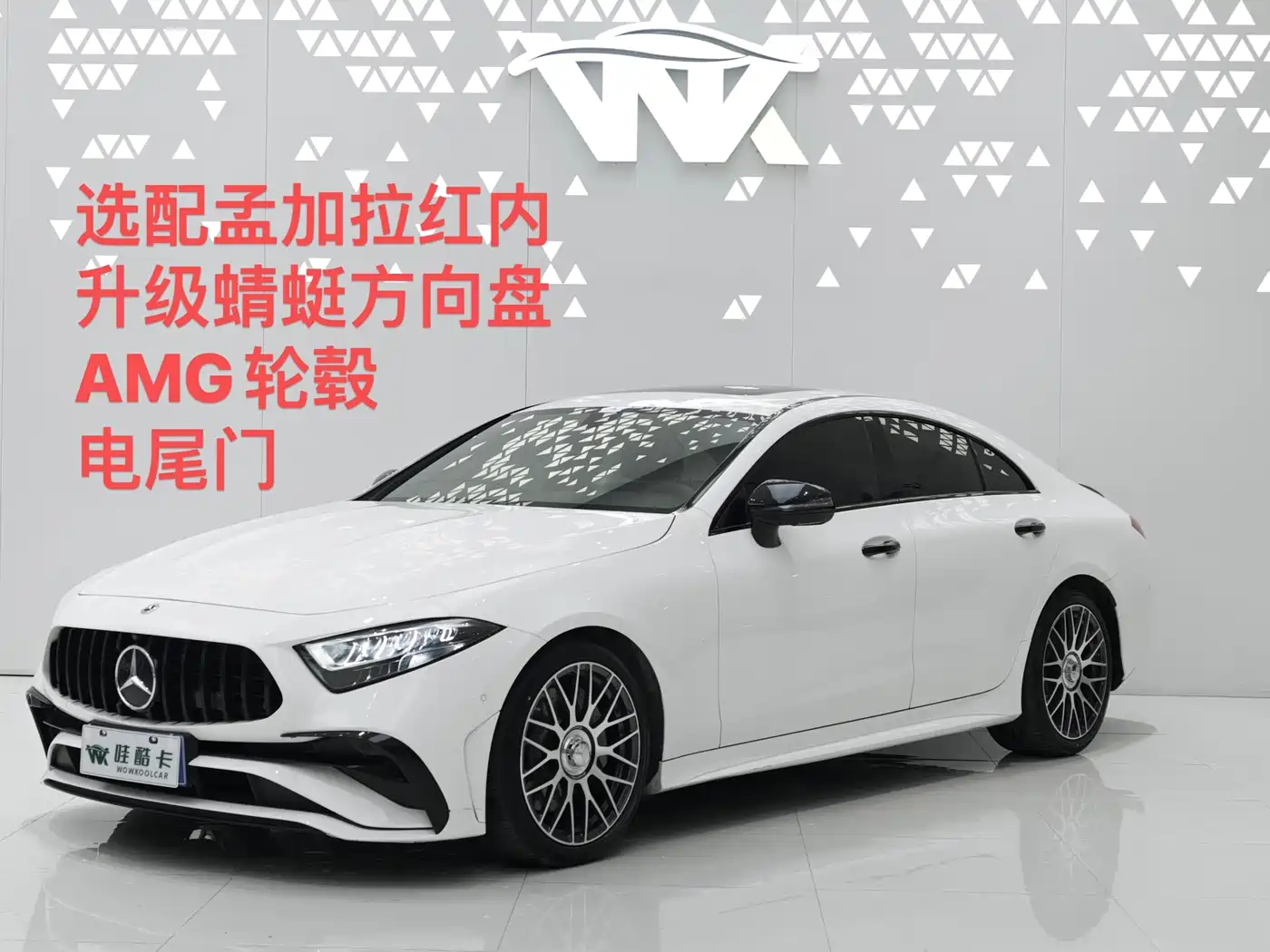 Mercedes-Benz CLS 2022 CLS 300 Dynamic фото 2