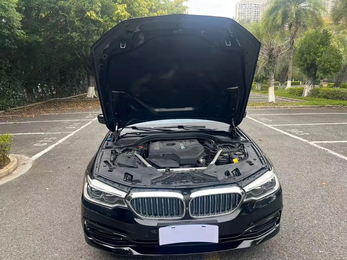 BMW 5 Series 2018 Facelift 530Li Exclusive Luxury Package фото 10