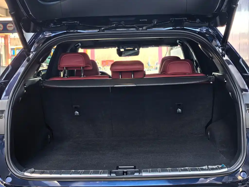 Lexus RX 2021 300 AWD F SPORT фото 14