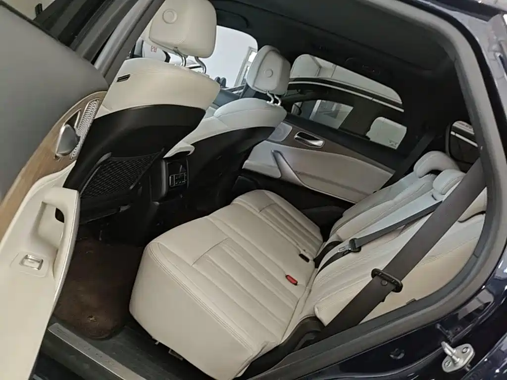 Denza X 2021 2020 Model PHEV Flagship Edition