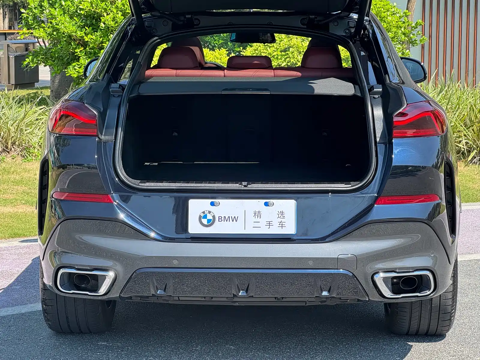 صورة 13 - BMW X6
