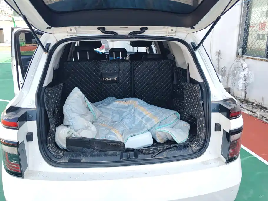 Baojun RM-5 2019 2019 1.5T Manual 24-hour Online Elite 7-seater