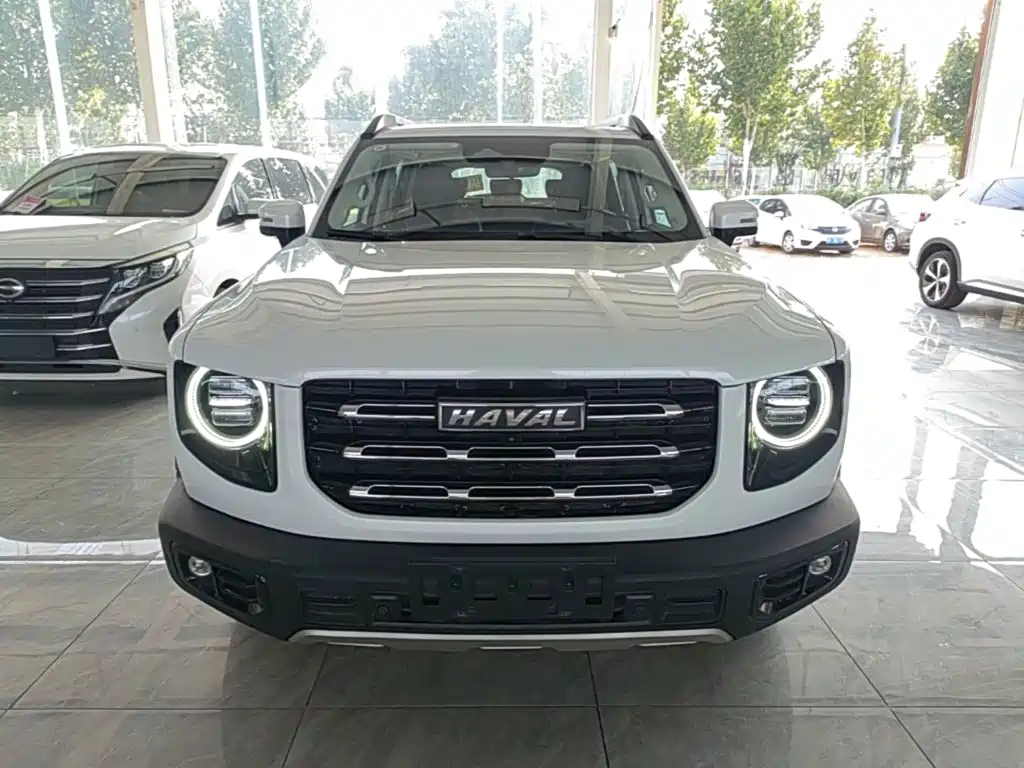 Фото 3 - Haval Dargo