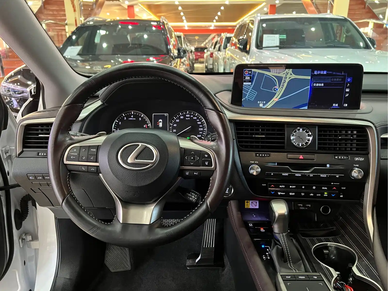 Фото 10 - Lexus RX