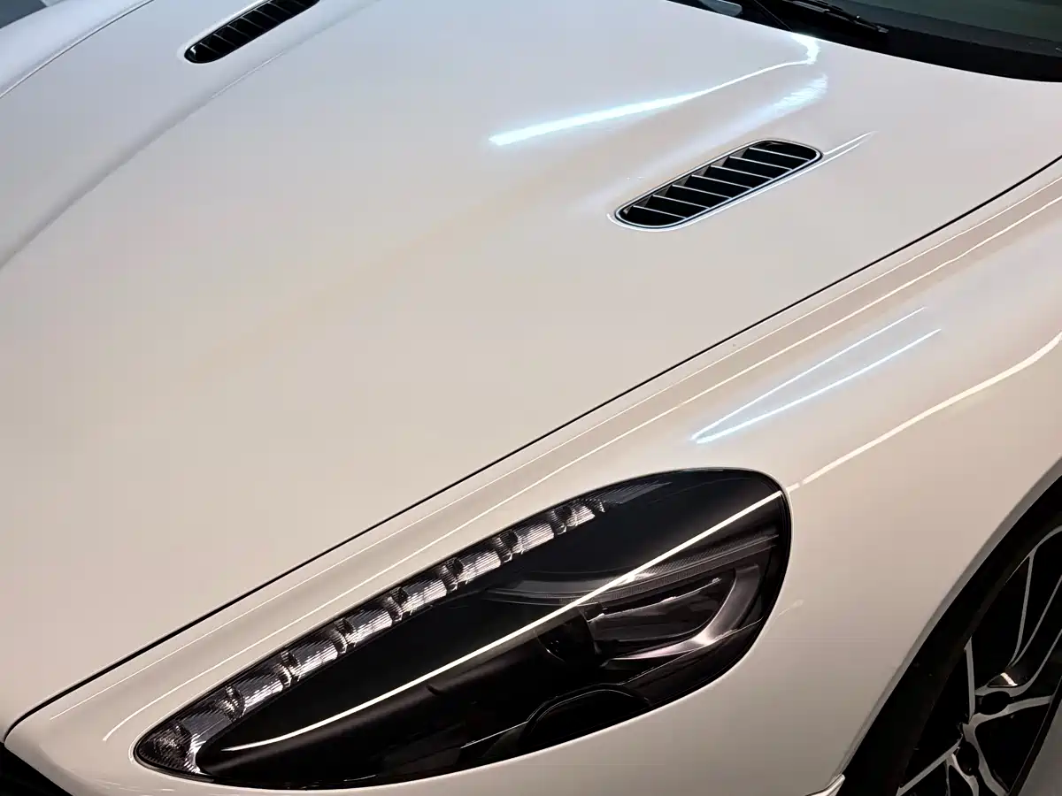 Aston Martin Rapide 2010 6.0L фото 3