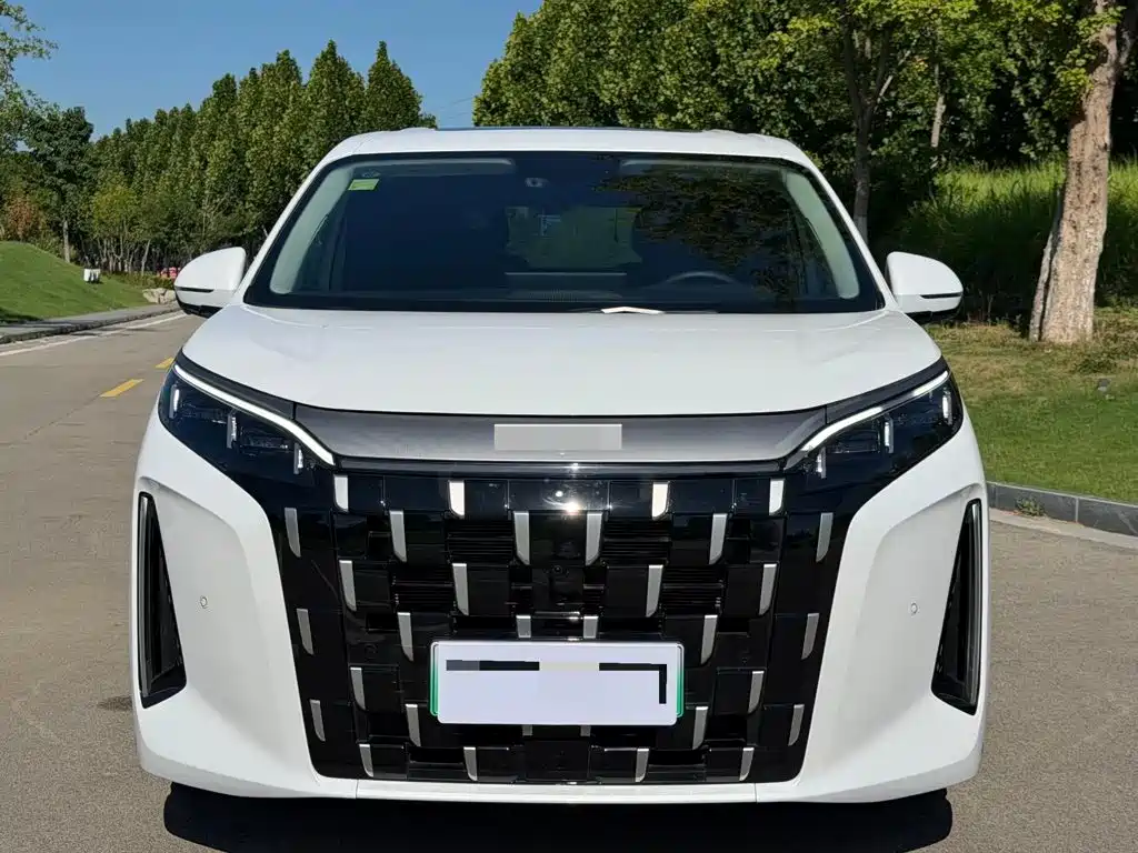 2026 BYD M9