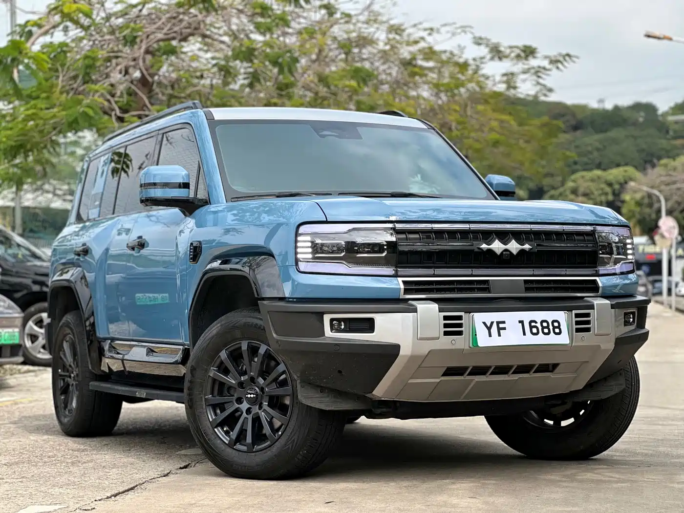 FANG CHENG BAO LEOPARD 5