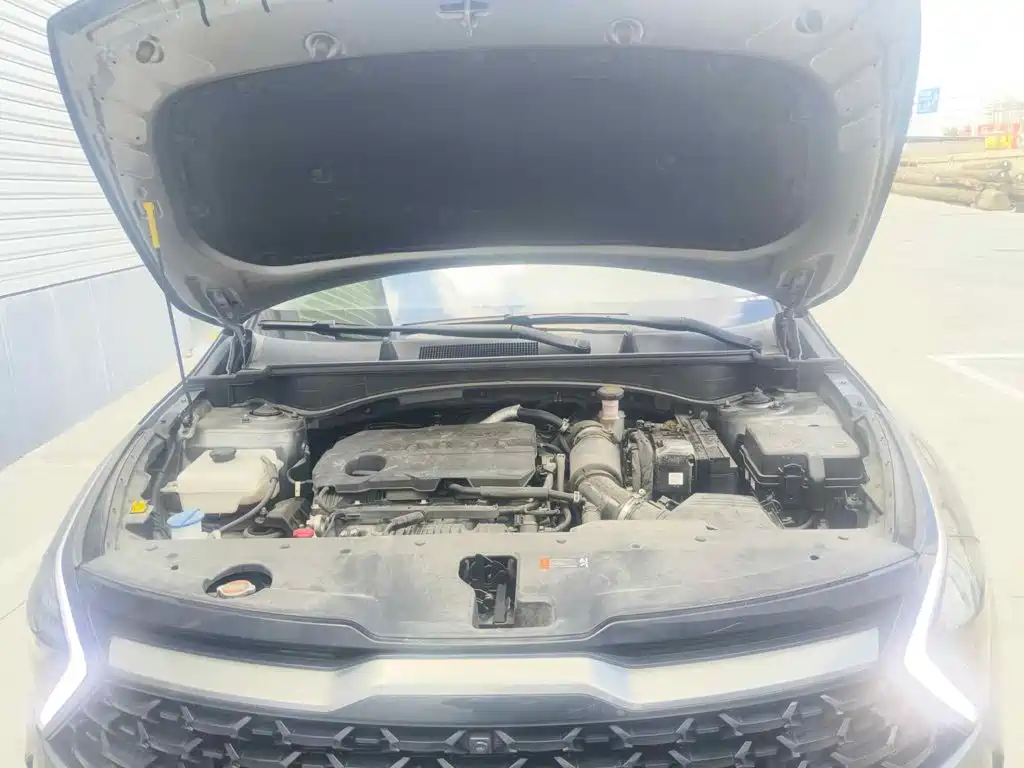 صورة 3 - Kia Sportage