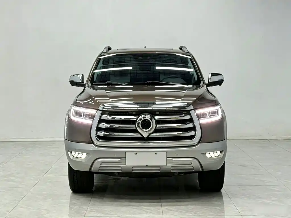 Фото 3 - Great Wall Pao