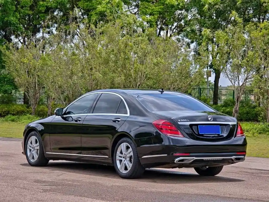 Mercedes-Benz S-Class 2018 S 350 L фото 14