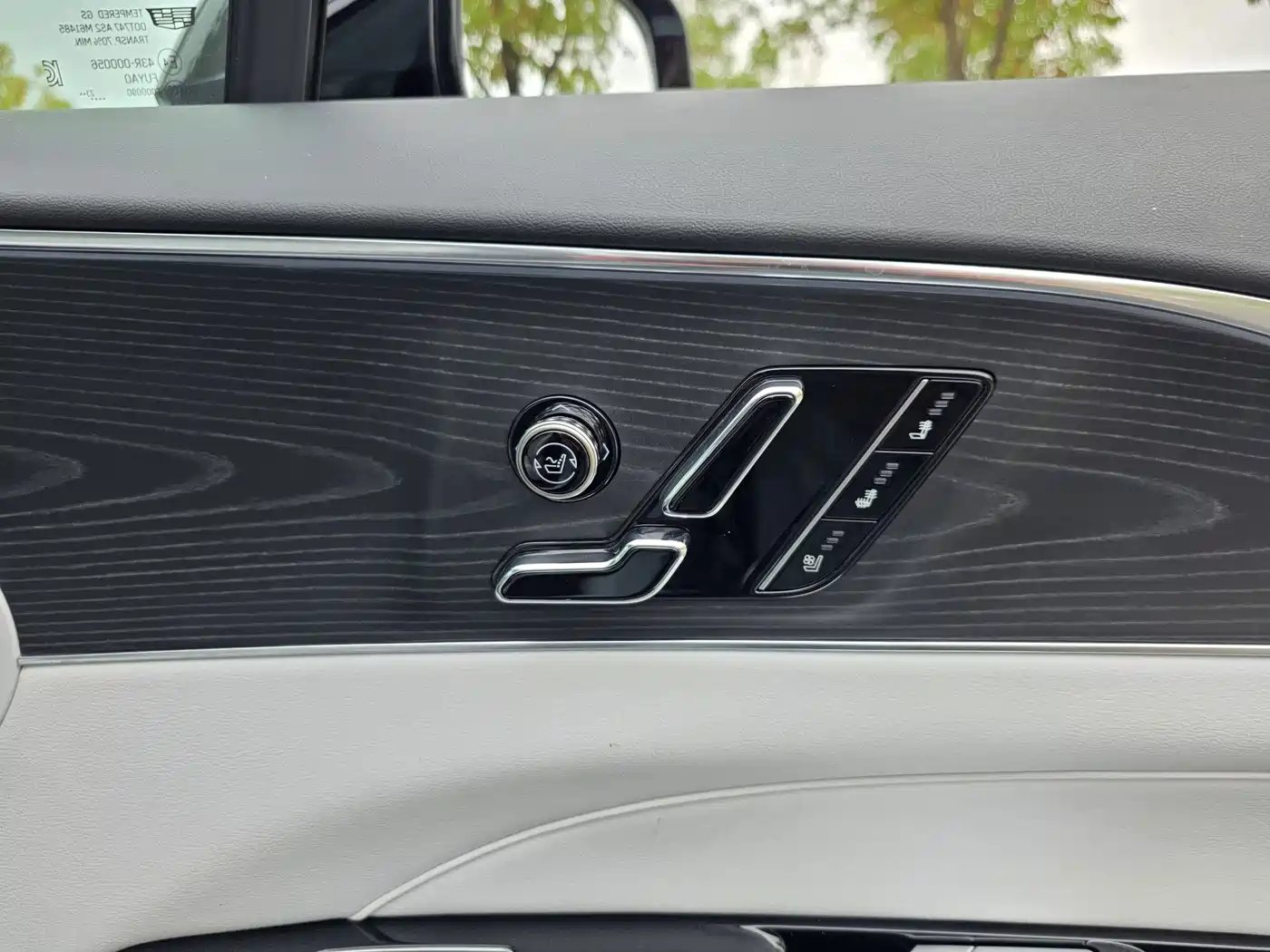 Cadillac IQ Rui Ge 2024 2024 RWD Standard Range Luxury Edition
