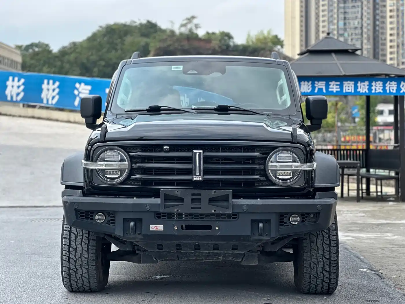 Tank 300 2021 2021 Off-road Version 2.0T Conqueror