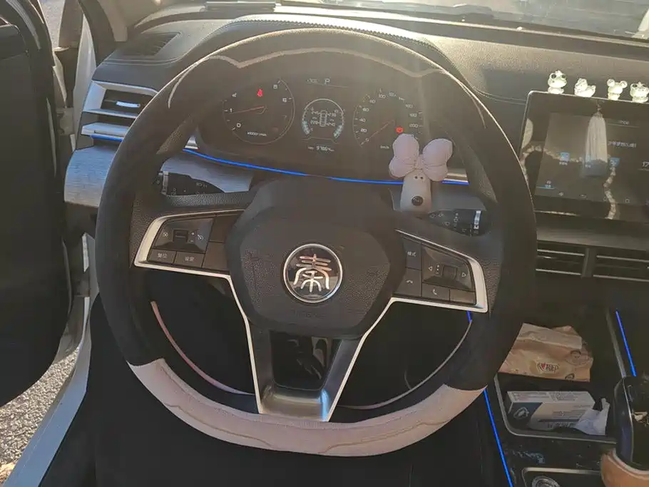 BYD Qin 2020 2019 1.5L Automatic Luxury Edition