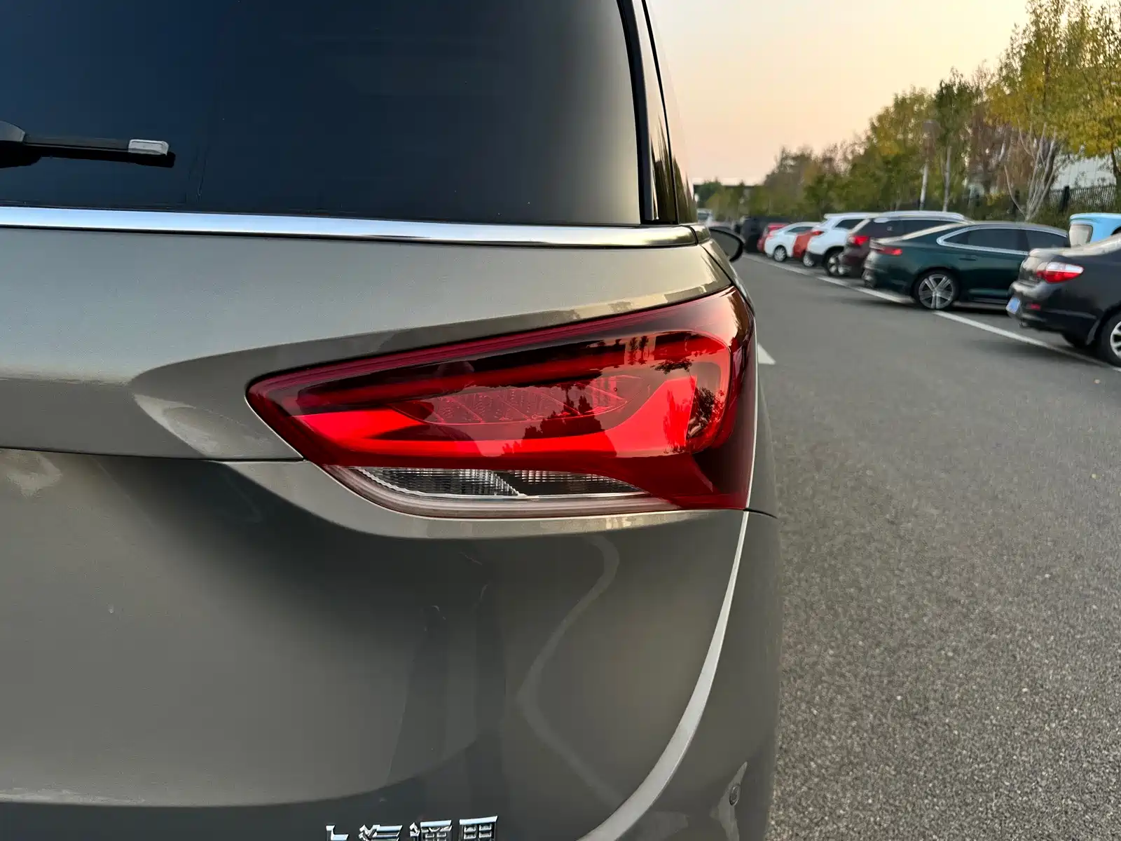 Фото 8 - Buick GL6