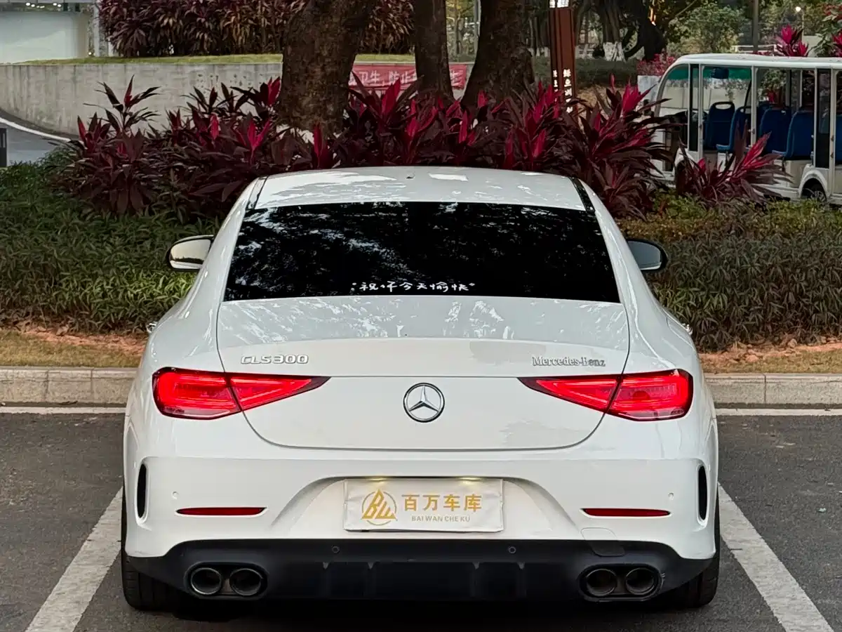Mercedes-Benz CLS 2018 CLS 300 Dynamic фото 5