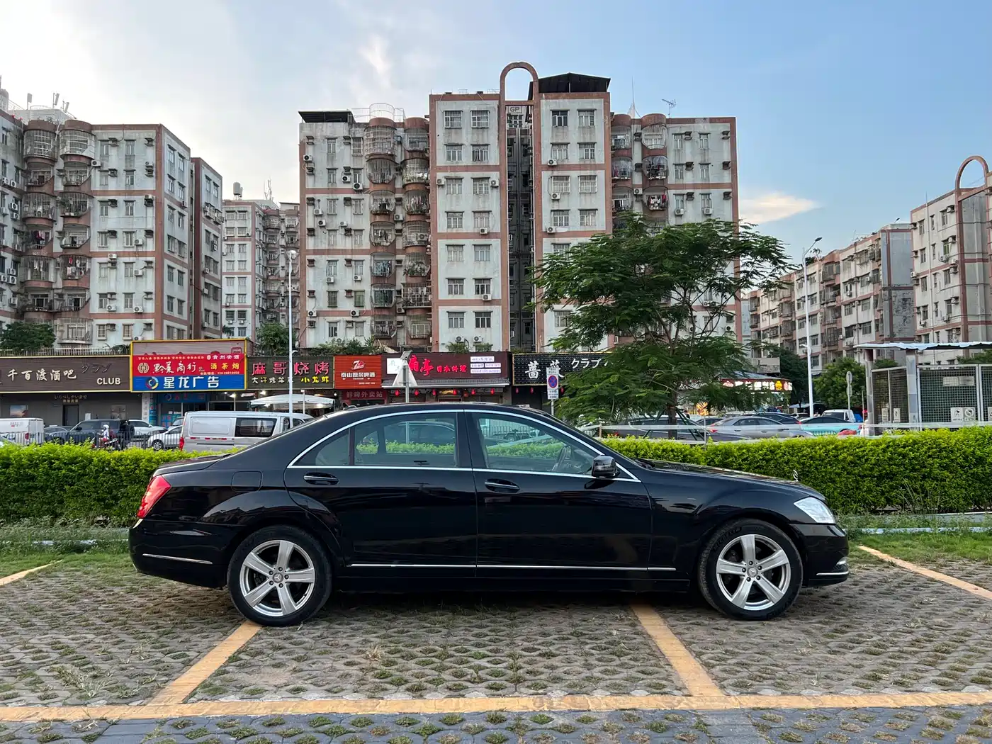 Mercedes-Benz S-Class 2010 S 350 L Luxury фото 7