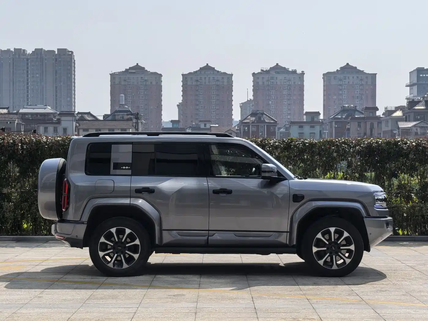 FANG CHENG BAO LEOPARD 5