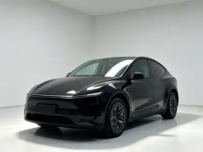 Tesla Model Y L