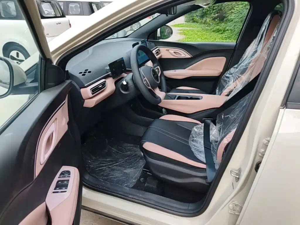 BYD Seagull 2026 2025 Smart Drive Edition 305km Vitality Version