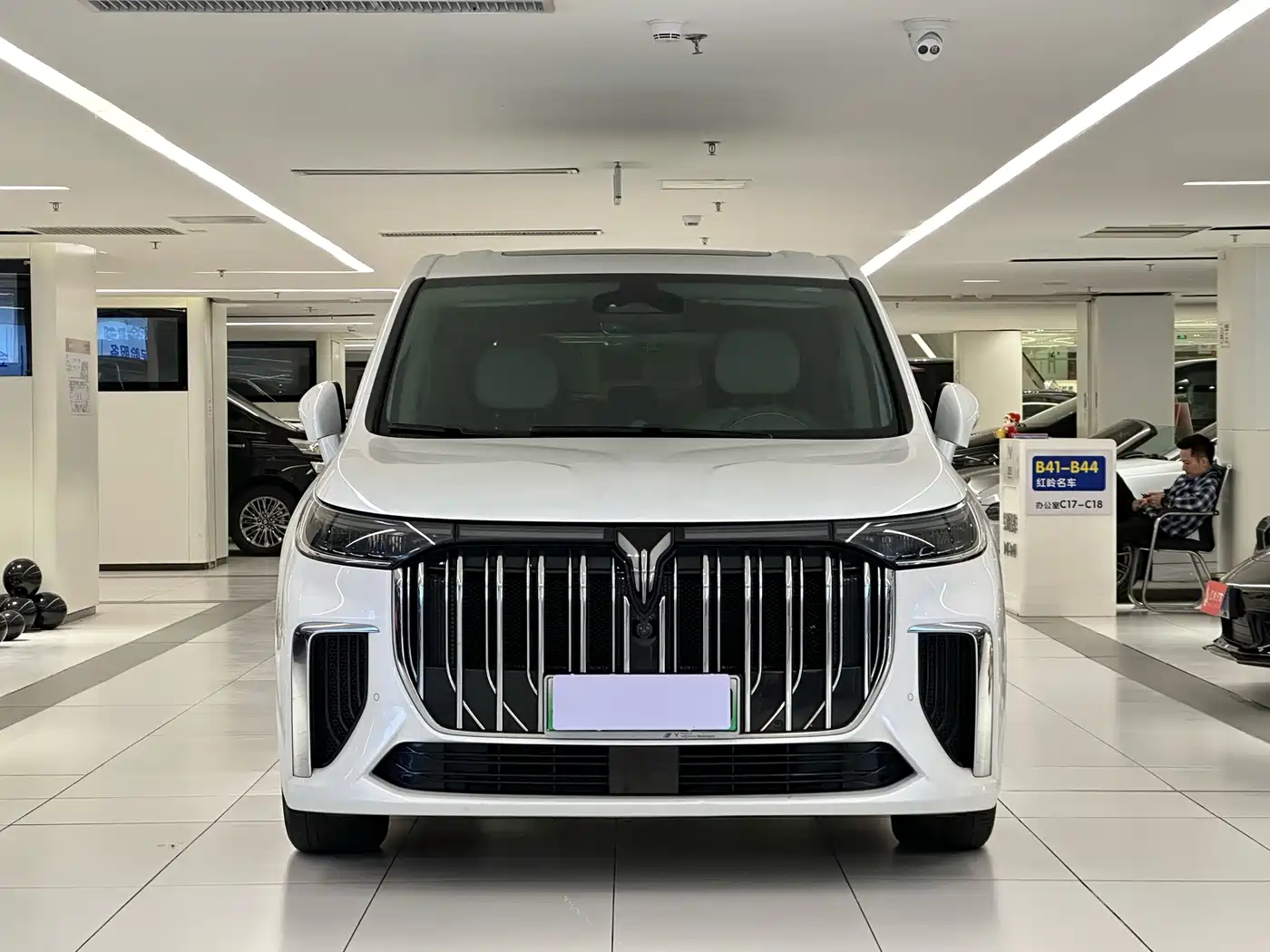 Voyah Dreamer 2022 2022 Low-carbon Dream+Smart Package