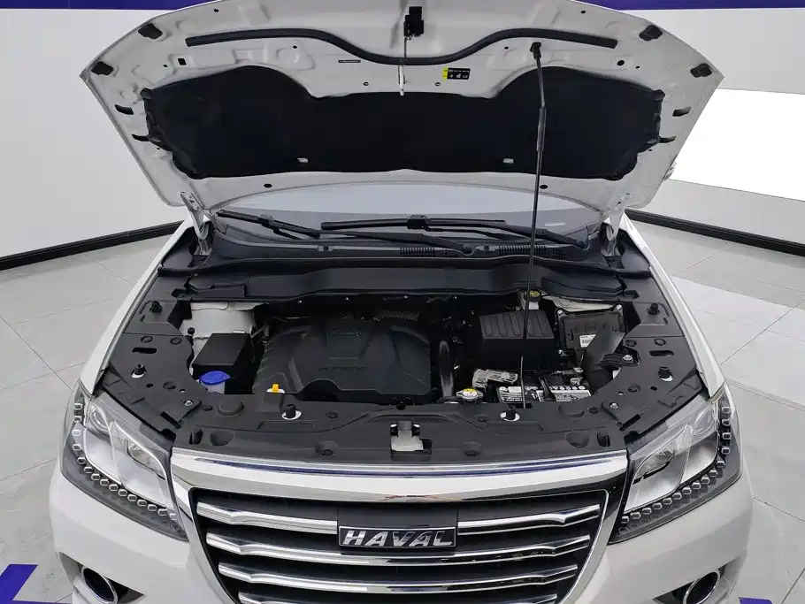 Фото 10 - Haval H2