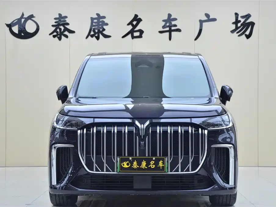 Voyah Auto Voyah Dreamer 2024 PHEV Extended Range Flagship Edition фото 2