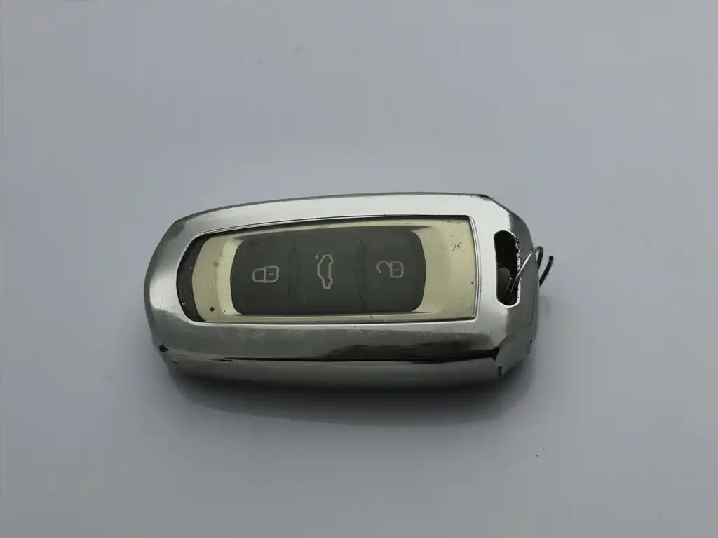 GEELY AUTOMOBILE BORUI NEW ENERGY