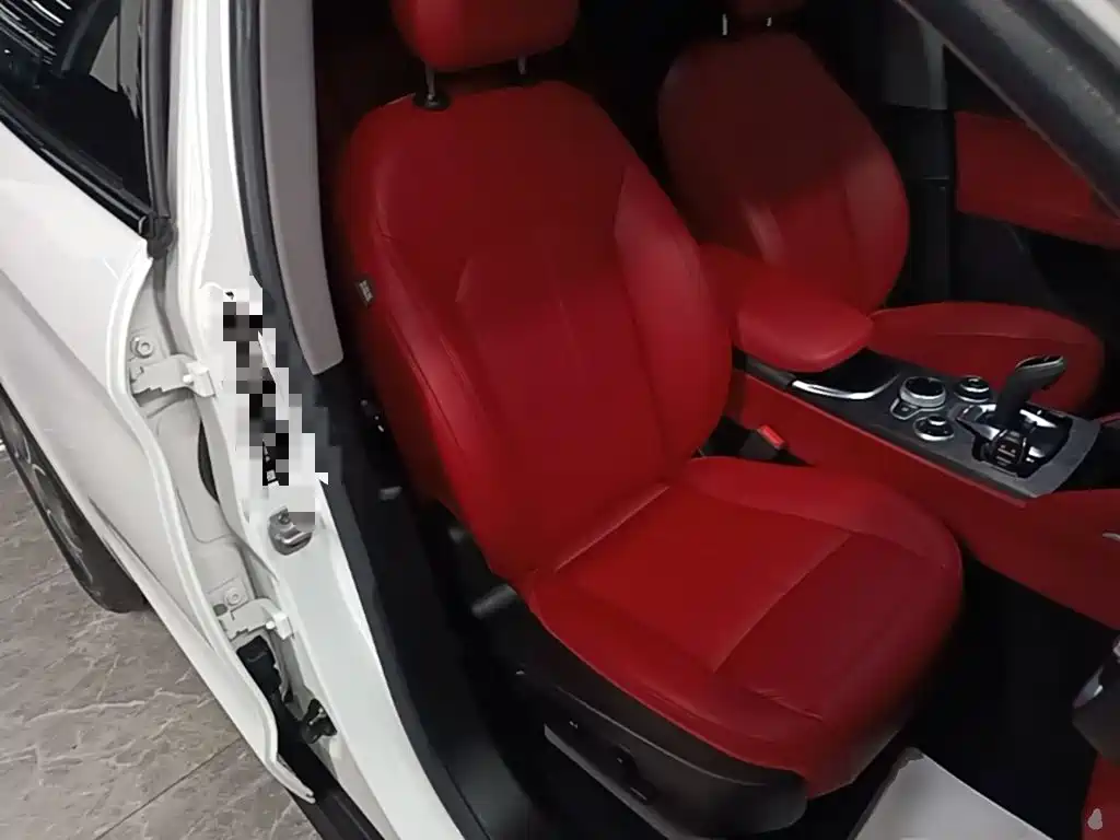 Alfa Romeo Stelvio 2021 2020 2.0T 280HP Luxury Edition
