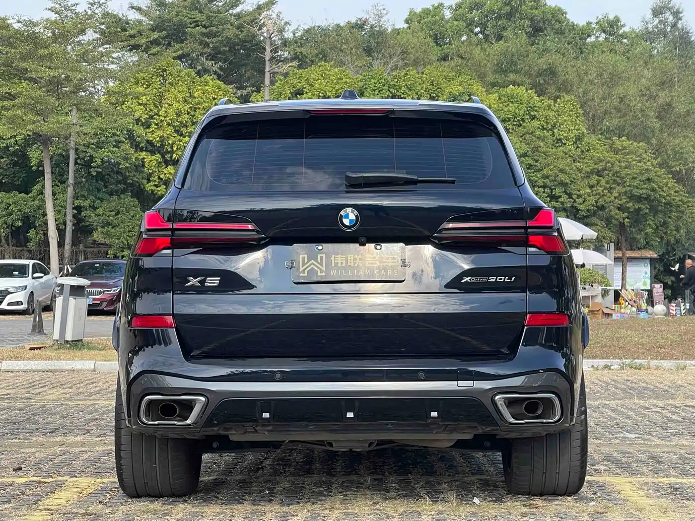 BMW X5 2023 xDrive 30Li Premium M Sport Black Night Package фото 7
