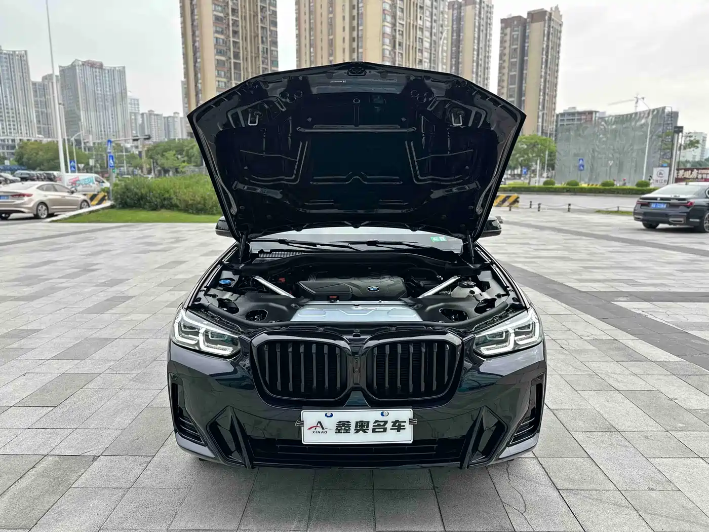BMW X3 2023 xDrive30i Leading M Night Package фото 34