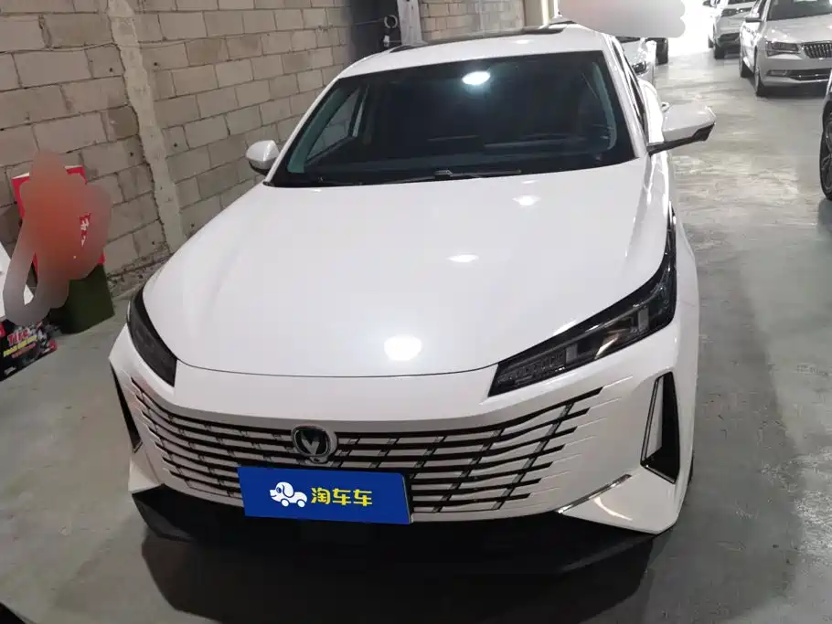 Фото 2 - Changan Eado