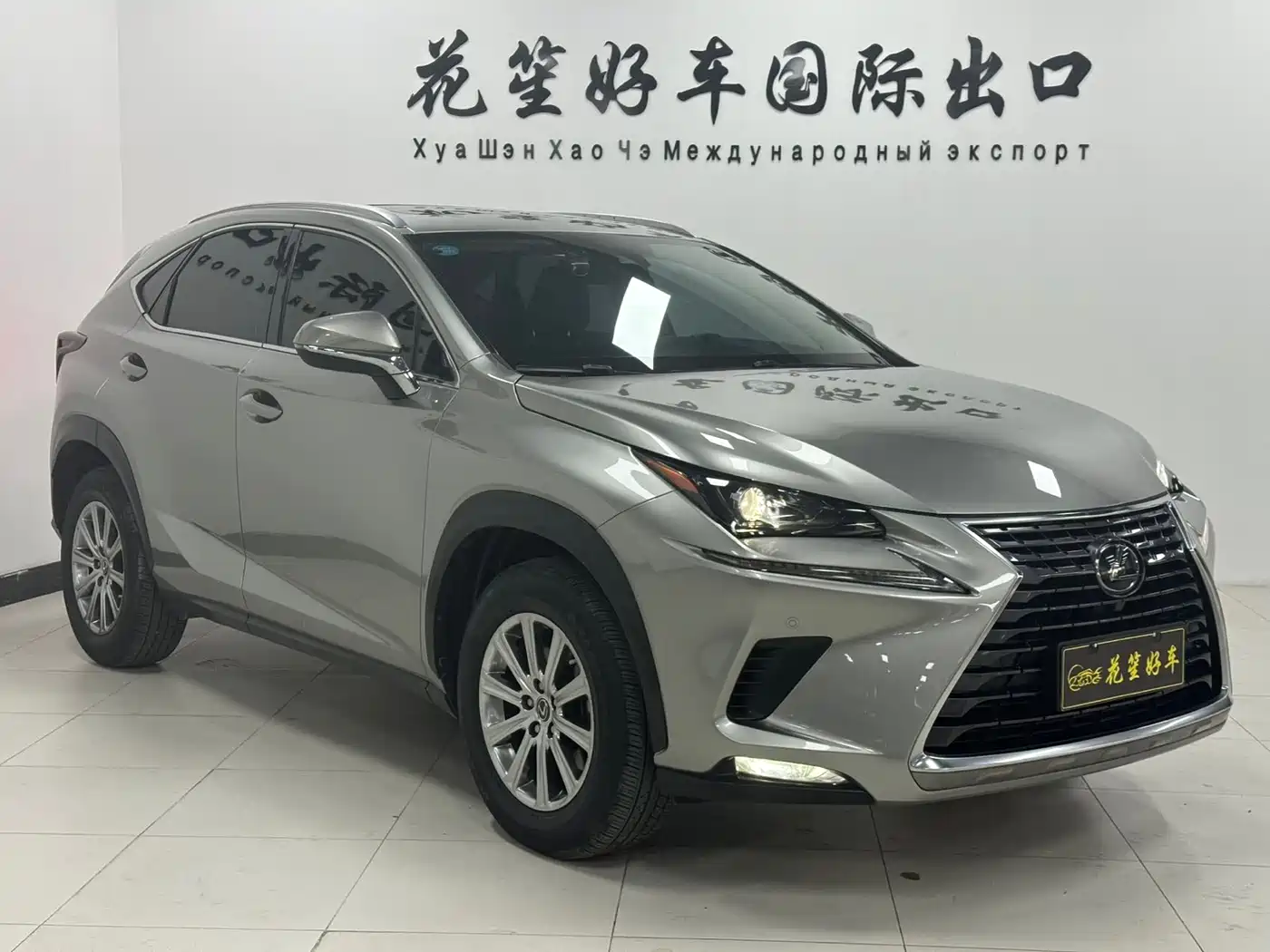 LEXUS NX
