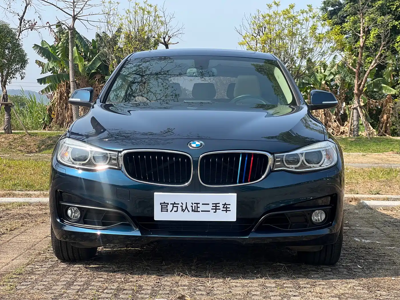 BMW 3 Series GT 2013 Model 320i Leading фото 2