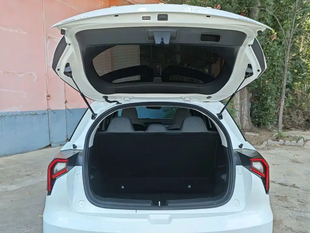 Geely Geometry E Firefly 2024 2024 Model 301km Light Flow