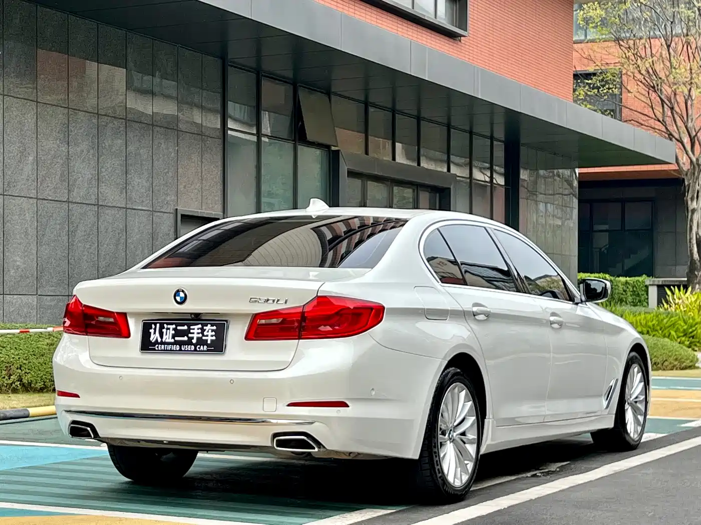BMW 5 Series 2019 530Li Leading Luxury Package фото 6