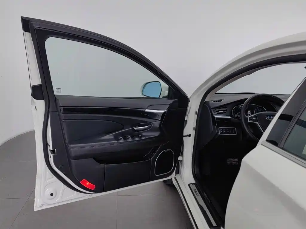 Фото 8 - Geely Borui