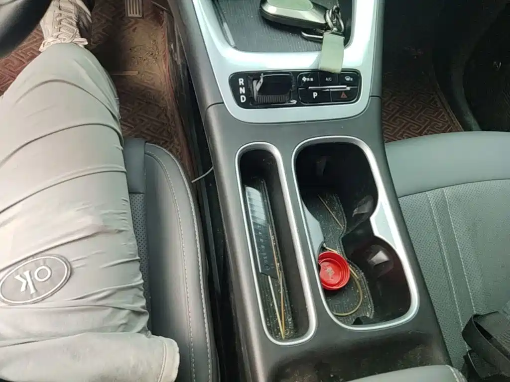 Geely Galaxy Starry Wish 2026 2026 Edition 410km Freedom Version