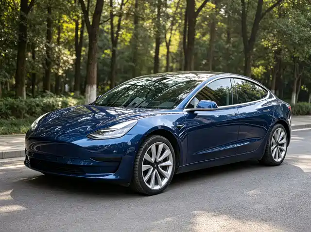 Tesla Model 3 2019 Standard Range Rear-Wheel Drive Upgrade — фото 1