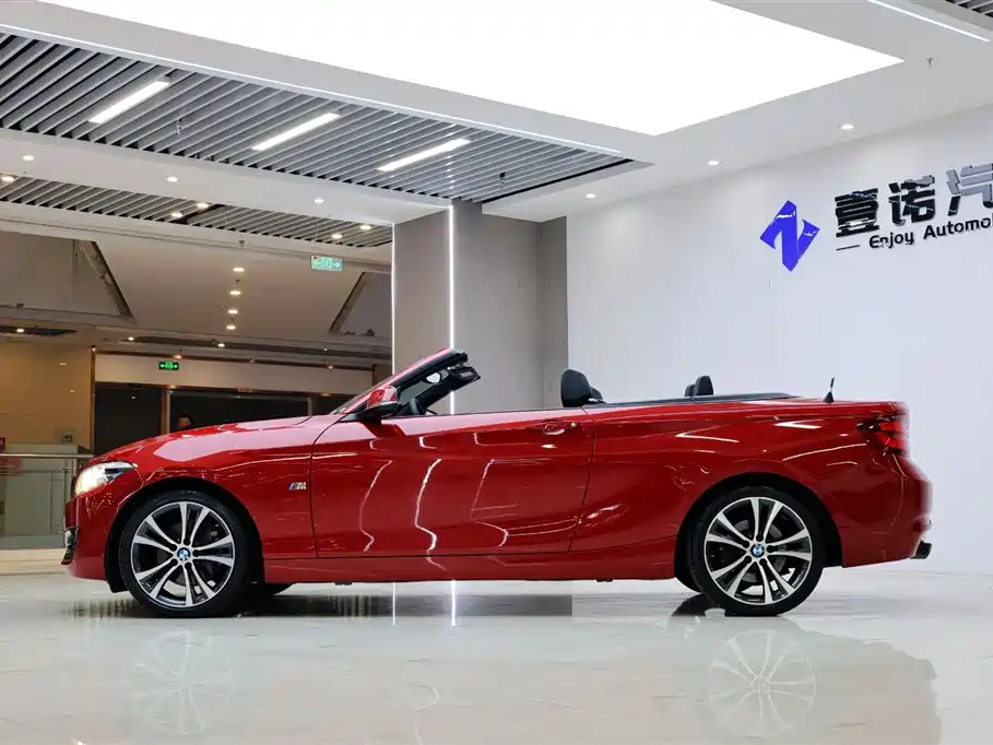 BMW 2 Series (Import) 2019 225i Convertible Coupe Sport Design Package фото 3