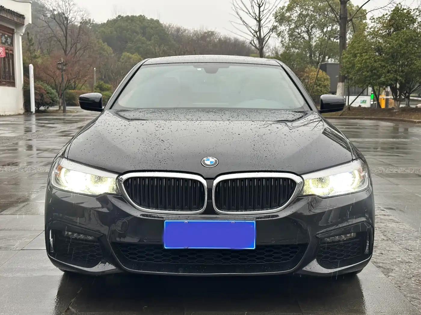 BMW 5 Series 2019 530Li Leading M Sport Package фото 2