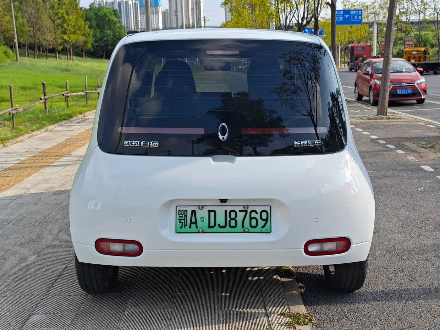 Ora White Cat 2021 2022 Upgraded 305km Luxury Edition LFP