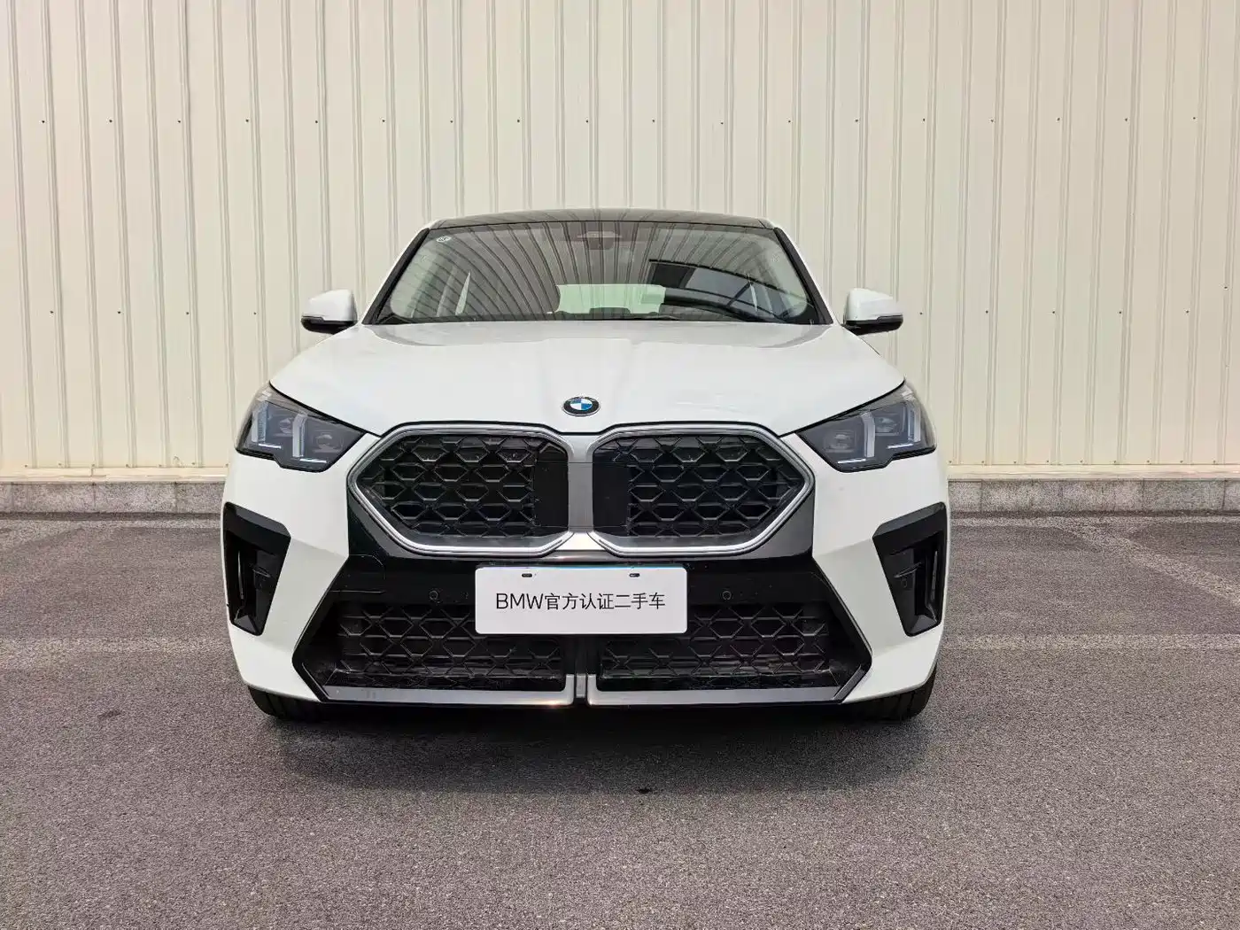 BMW X2 (Import) 2025 2025 sDrive25i M Sport Package