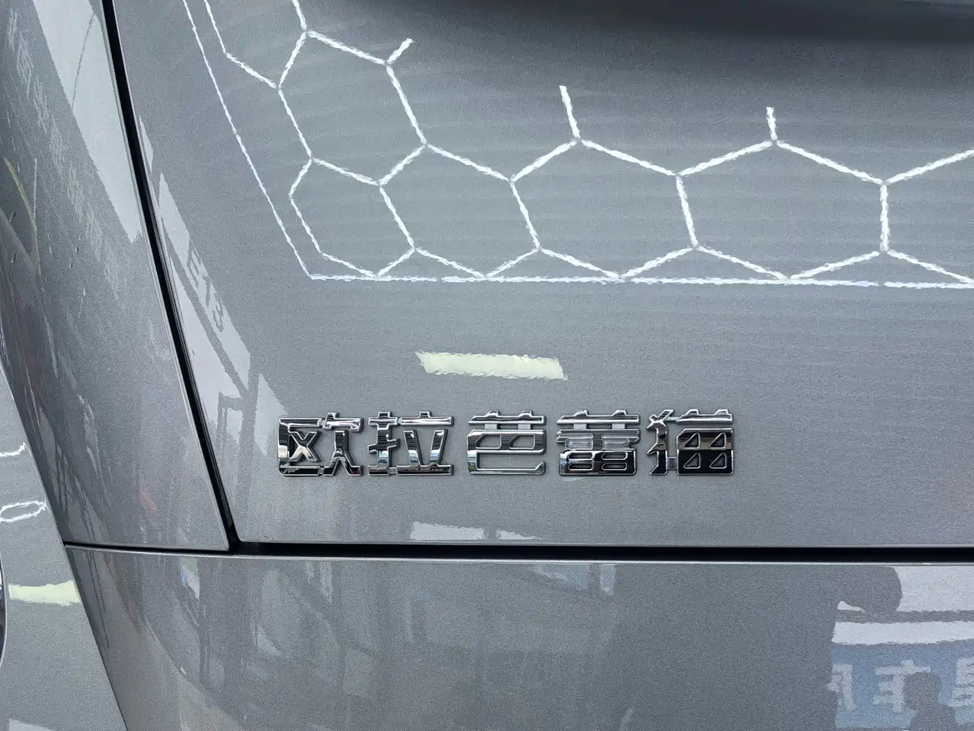 Ora Ballet Cat 2024 2023 401km Premium Model