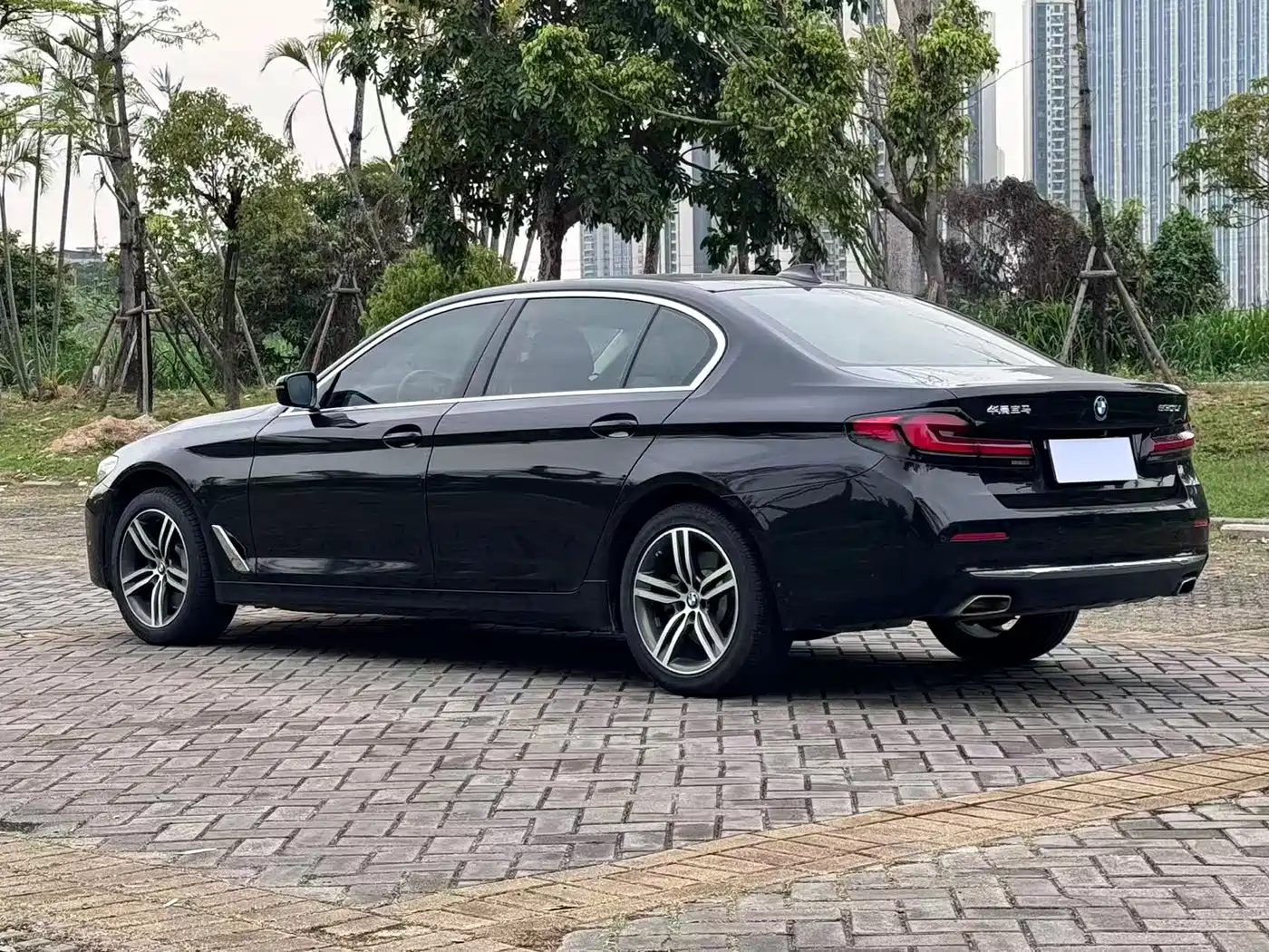 BMW 5 Series 2021 Facelift 530Li Leading Luxury Package фото 6