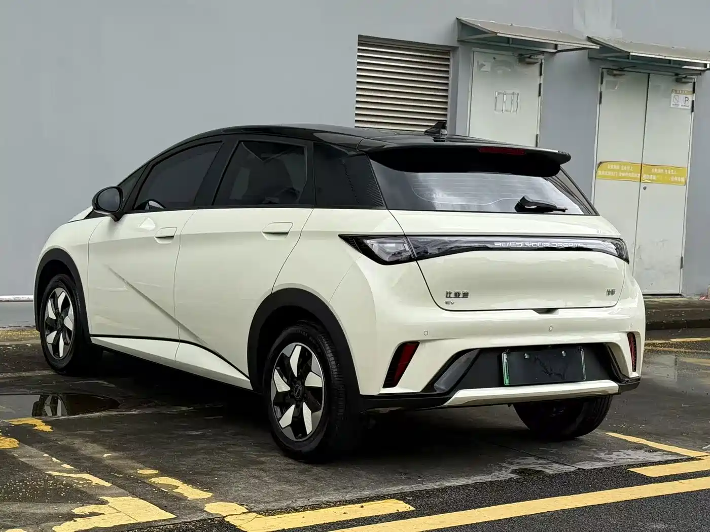 BYD Dolphin 2026 2025 420km Freedom Edition