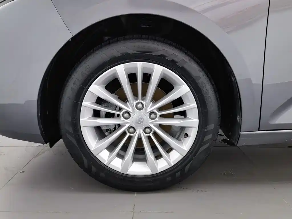 Baojun Valli 2021 2021 1.5T Dali Sky CVT Premium