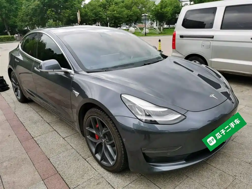 Tesla Model 3 (Import) 2019 2019 Performance High-Efficiency All-Wheel Drive Version