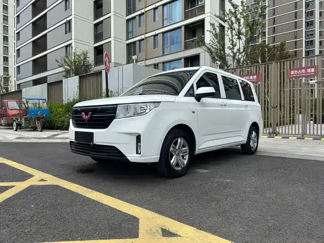 Wuling Motors Wuling Hongguang PLUS 2020